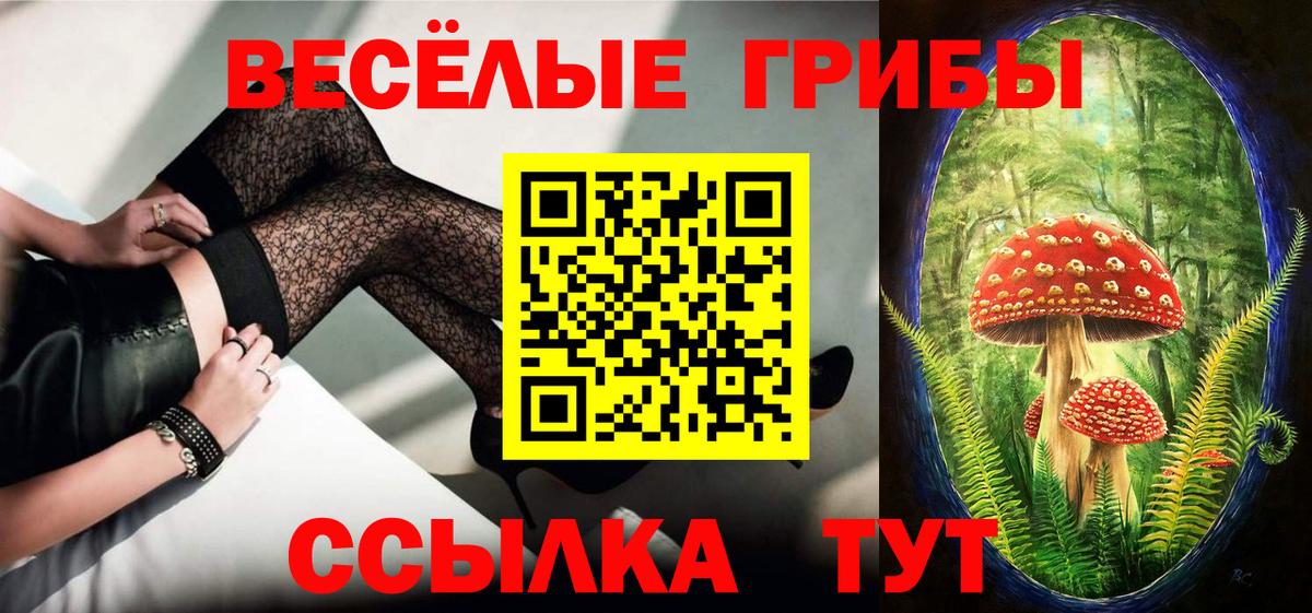 Галлюциногенные грибы Psilocybine cubensis Электрогорск