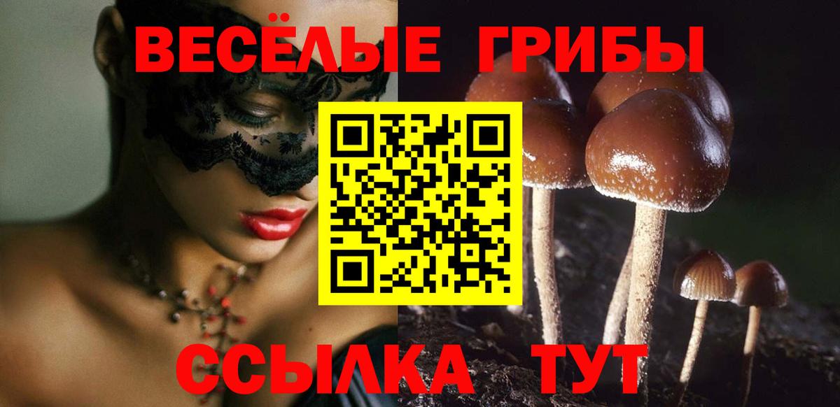 Электрогорск  Псилоцибиновые грибы Magic Shrooms  Вход с VPN 