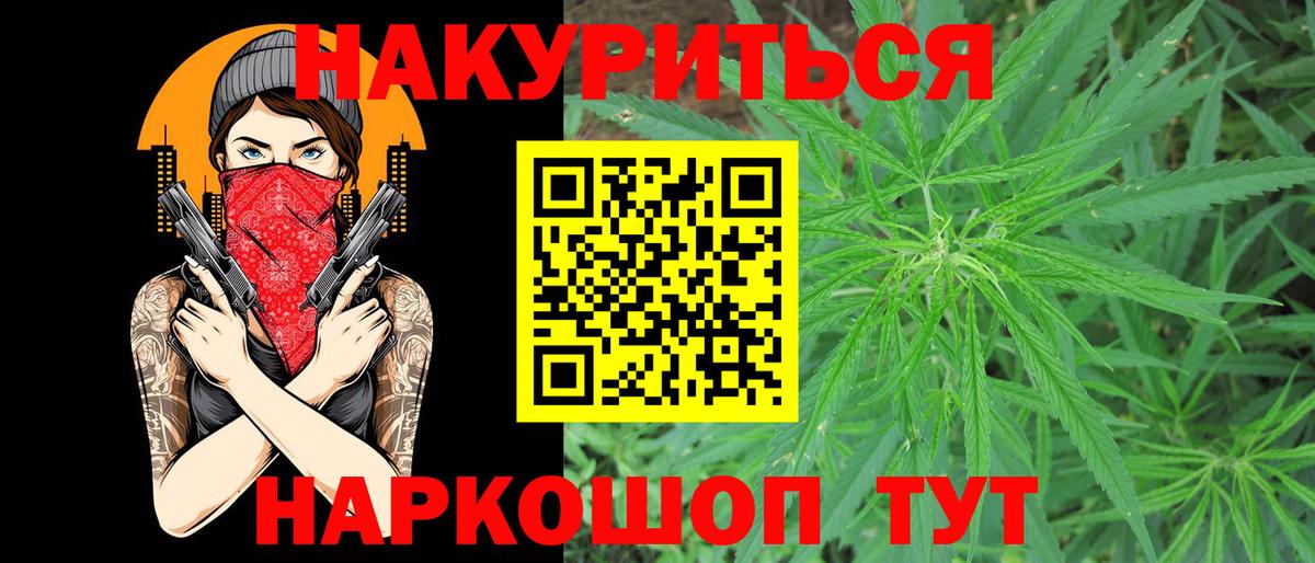 Каннабис Bruce Banner  Конопля ГИДРОПОН  Электрогорск  Вход с VPN  Марихуана сатива 